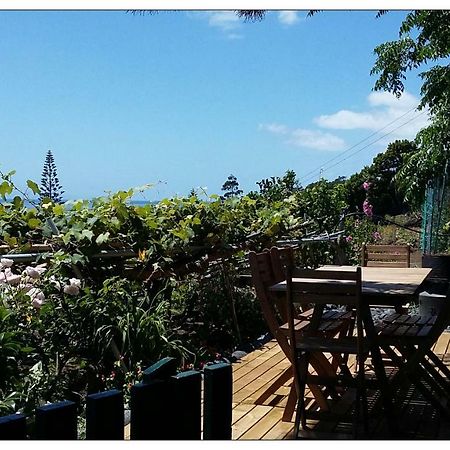 Casa Do Ze - Al Guest House Manadas Bagian luar foto