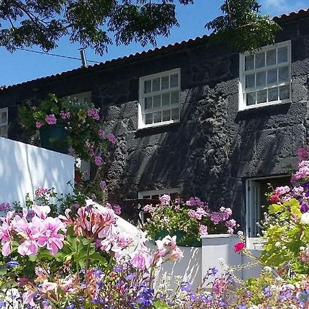 Casa Do Ze - Al Guest House Manadas Bagian luar foto
