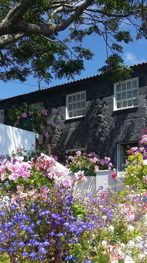 Casa Do Ze - Al Guest House Manadas Bagian luar foto